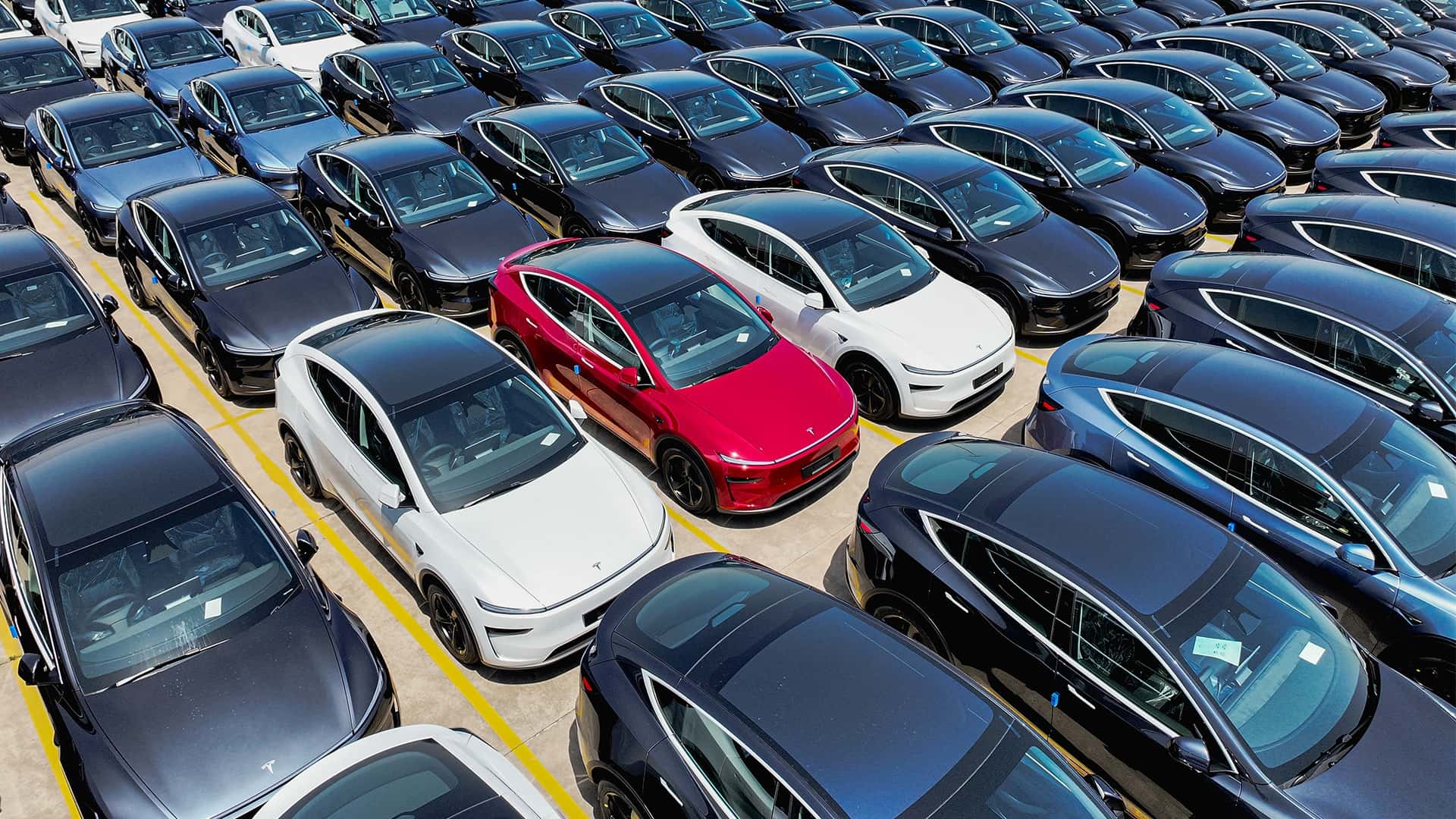 Række af Tesla elektriske biler på en parkeringsplads