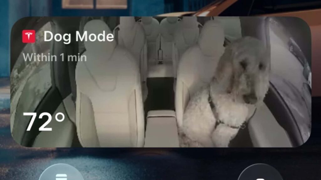 Tesla Dog Mode aktiveret med en hund i bilen, temperatur 72 grader