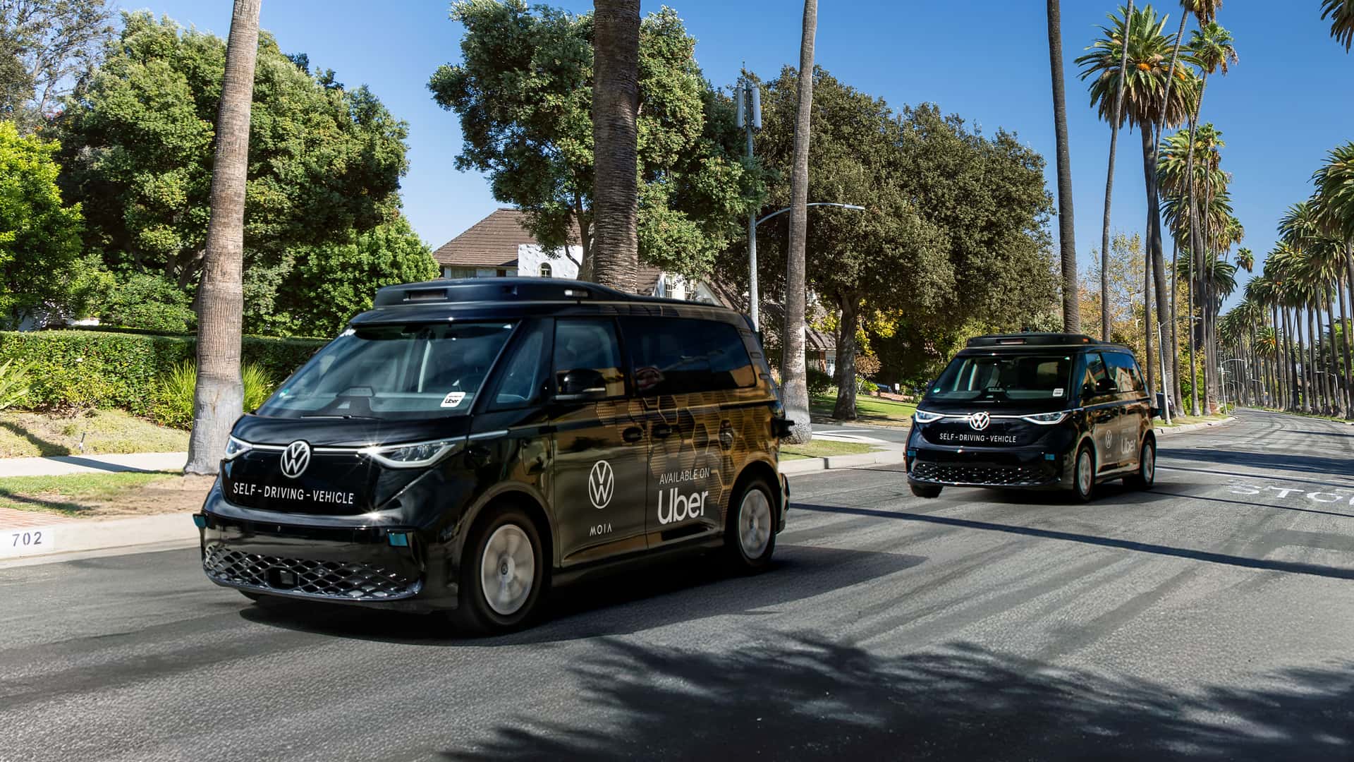 To selvkørende Volkswagen minibusser på en solrig vej omgivet af palmetræer