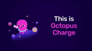 Illustration af pink blæksprutte med tekst Octopus Charge