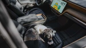 Indre af en Rivian med en hund på passagersædet