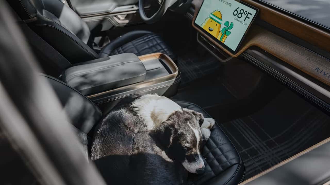 Indre af en Rivian med en hund på passagersædet